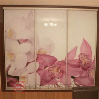 шкаф-купе шк-16.2020 с лакобелем