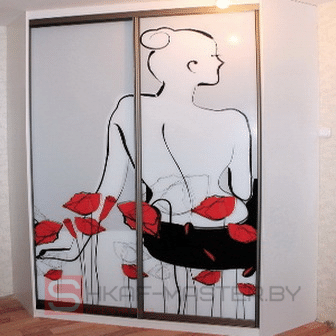 шкаф-купе шк-15.2020 с фотопечатью